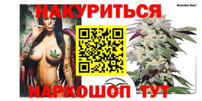 гидра Будённовск