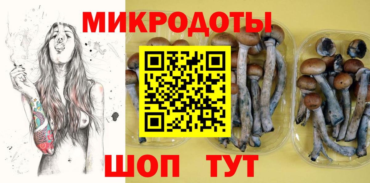 Миасс  Галлюциногенные грибы Cubensis  Вход с VPN  Галлюциногенные грибы GOLDEN TEACHER 